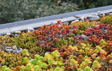 the cost of Linstock green roof installation